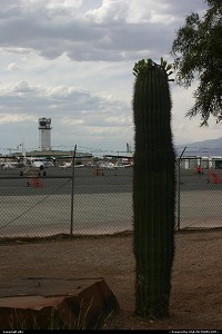 Photo by elki | Las Vegas  airport, cactus, planes, plane